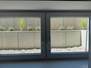 a window view of a garden with plants at 2-Zimmer Souterrain Wohnung in Kehl am Rhein