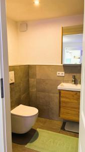 a bathroom with a toilet and a sink at Ferienwohnung Hortwald am Schaumberg in Tholey