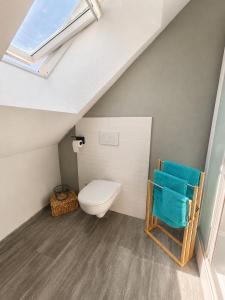 a attic bathroom with a toilet and a skylight at Le Nid Dolois in Dole