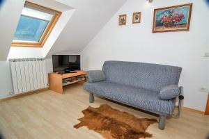 un soggiorno con divano blu e TV di Apartments and Rooms Tajcr a Bovec
