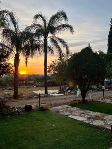 a sunset in a park with two palm trees at Good Time 99 in Shezor