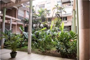 a courtyard of an apartment building with trees and plants at Le Palm Loft in Pointe-à-Pitre +5 photos