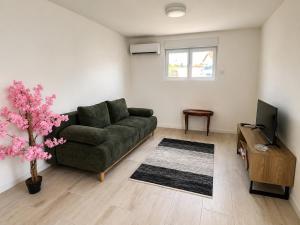 a living room with a green couch and a tv at La Escapade Cubaine in Villeneuve-sur-Lot