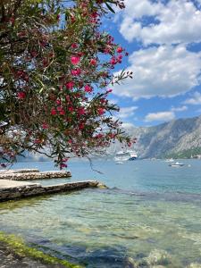 a tree with pink flowers on it next to the water at Casa Mare in Prčanj