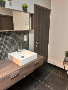 a bathroom with a white sink and a brown door at Maison Marthe in Sint-Truiden +17 photos