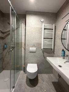 a bathroom with a toilet and a shower and a sink at Silence in Zator +34 photos