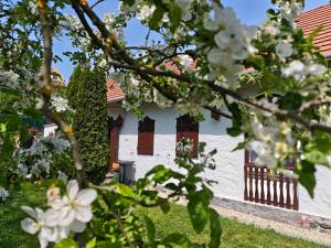 a white house with red shuttered windows and flowers at Badacsonyi Présház in Badacsonytomaj