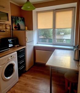 a kitchen with a washing machine and a table at Omes puurs in Ventspils