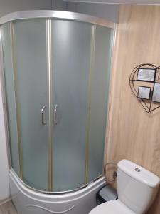 a glass shower in a bathroom with a toilet at Sosnowy Domek in Wólka +19 photos