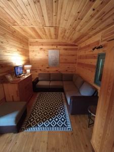 a room with a couch and a television in a cabin at Sosnowy Domek in Wólka