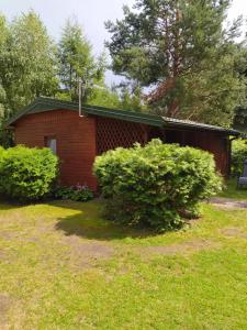 a small brick house with bushes in front of it at Sosnowy Domek in Wólka