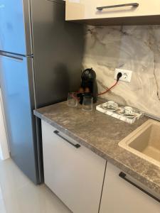 a kitchen counter with a sink and a refrigerator at Day Studio in Focşani