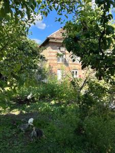 an old brick building in the middle of a yard at Old House in Sheki