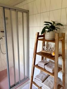 a bathroom with a shower and a shelf with towels at Ferienwohnung Lauterach in Lauterach +1 photo