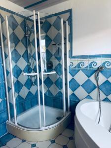 a blue tiled bathroom with a shower and a toilet at Ferienapartment Naturblick in Hausen