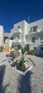 a potted plant sitting in front of a building at Syros Blue Lagoon G2 in Galissas