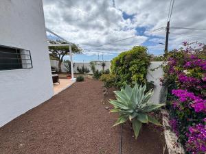 a garden with plants and flowers next to a building at The Hidalga's cozy house in Arafo