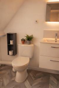 a bathroom with a toilet and a sink at Cosy appartement in Miniac-Morvan