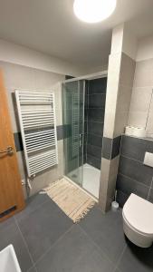 a bathroom with a glass shower and a toilet at Moderní apartmán Boskovice in Boskovice