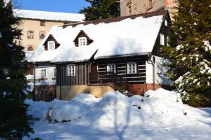 ein schneebedecktes Schwarz-Weiß-Haus in der Unterkunft Chalupa Jana in Nová Paka