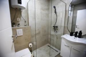 a bathroom with a shower and a toilet and a sink at Vila Lago Verde in Zvornik +25 photos