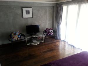 TV a/nebo společenská místnost v ubytování Espace Elastique B&B with contactless check-in