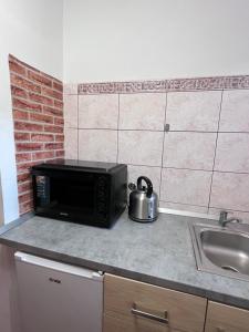 a microwave sitting on a counter next to a sink at Apartma Ob Krki in Straža