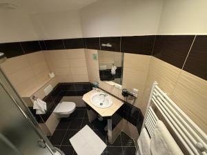 a bathroom with a sink and a toilet at U Císaře Rudolfa in Mělník +7 photos