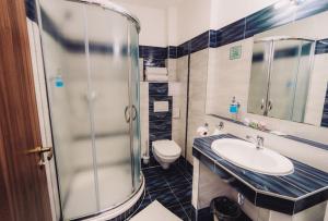 a bathroom with a shower and a sink and a toilet at U Císaře Rudolfa in Mělník
