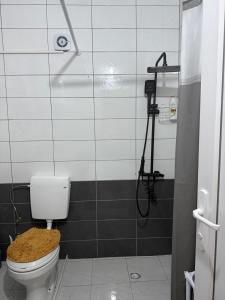 a bathroom with a toilet and a shower at Unik Apartment in Kosovo Polje +4 photos