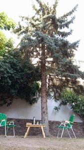 a picnic table and two chairs next to a tree at Private room with bathroom in Mendoza +3 photos