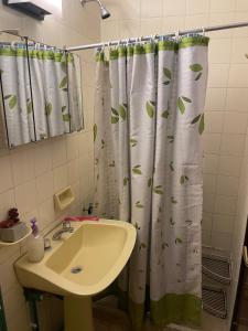 a bathroom with a sink and a shower curtain with leaves at Private room with bathroom in Mendoza
