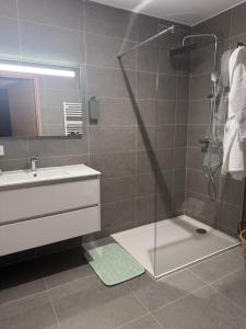 a bathroom with a shower and a sink and a mirror at Cosi Horizon in Grosseto-Prugna +22 photos