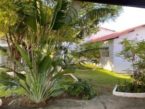 a large palm tree in front of a house at Pousada Costa Azul in Paulista +9 photos