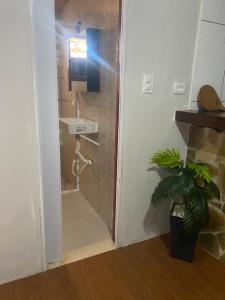 a bathroom with a shower with a sink and a plant at Pouso do caiçara suíte fundo do mar in Paraty