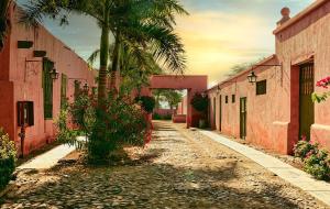 an alley with a palm tree and pink buildings at Luxury Duplex Terrace and Grill in Ica