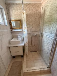 a bathroom with a shower and a sink at Belareca Garden in Mehadia