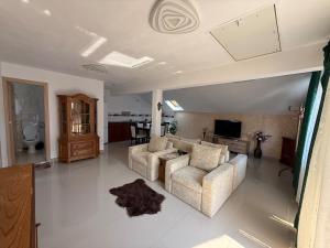 a living room with two couches and a tv at Belareca Garden in Mehadia +5 photos