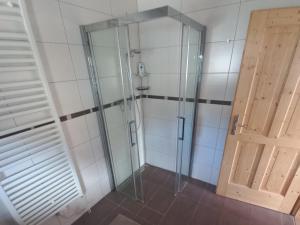 a shower with a glass door in a bathroom at Landhaus Alpenblick Tauplitz in Tauplitz +18 photos