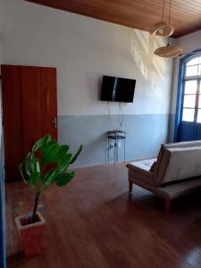 a living room with a couch and a potted plant at Caminhos da Liberdade Pousada in Ouro Preto +59 photos