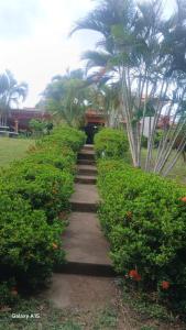 a path with bushes and palm trees and a building at Las Colinas in León
