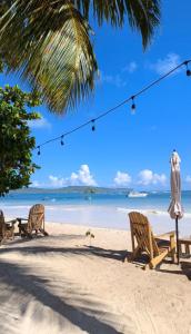 two chairs and an umbrella on a beach at Hostel La Ballena Backpacker in Las Galeras +8 photos
