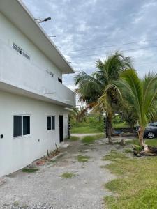 a house with a palm tree next to a building at Departamento al lado del Mar in Barra Nueva