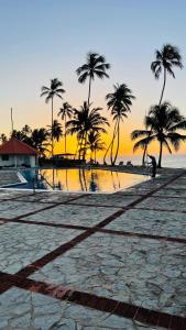 a sunset on a beach with palm trees and the ocean at my house on the upper beach in Villas del Mar