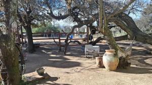 a vase sitting under a tree in a park at Casa con bajada al rio in Villa Cura Brochero +4 photos