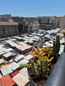 a view of a parking lot with cactuses and buildings at Liotru Maisonne, rooms with en-suite bathroom and shared bathroom in Catania
