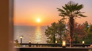a sunset over the water with a palm tree at geoje yeoul pet-friendly pension in Yŏch'a
