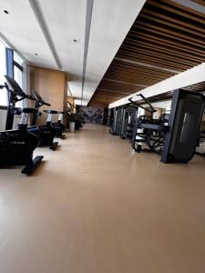 a gym with rows of treadmills and cardio machines at 城绩公寓 in Phnom Penh