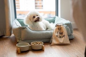a white dog sitting in a dog crate at INNSiDE by Meliá Manchester in Manchester +52 photos