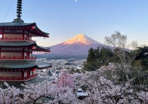 a pagoda with a mountain in the background withakura trees at Backpacker's House Kamome in Fujiyoshida